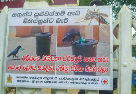 Raising awareness to prevent the rise of dengue in rural Sri Lanka